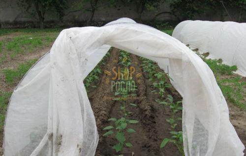 Агроволокно біле, щільність 30 г/м2, ширина 9,5 м. "Greentex" (Польща), 100 м