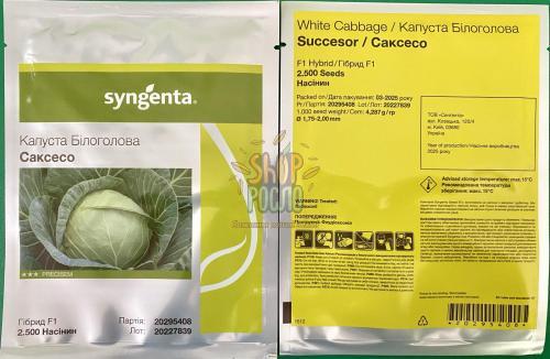 Насіння капусти білоголовой Саксесор  F1, середньостиглий гібрид , "Syngenta" (Швейцарія), 2 500 шт