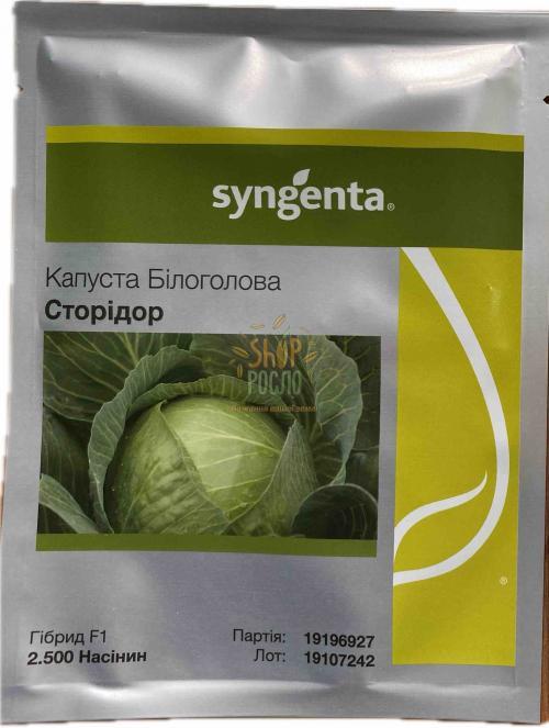 Насіння капусти білоголовой Сторідор  F1, для зберігання гібрид,  "Syngenta" (Швейцарія), 2 500 шт