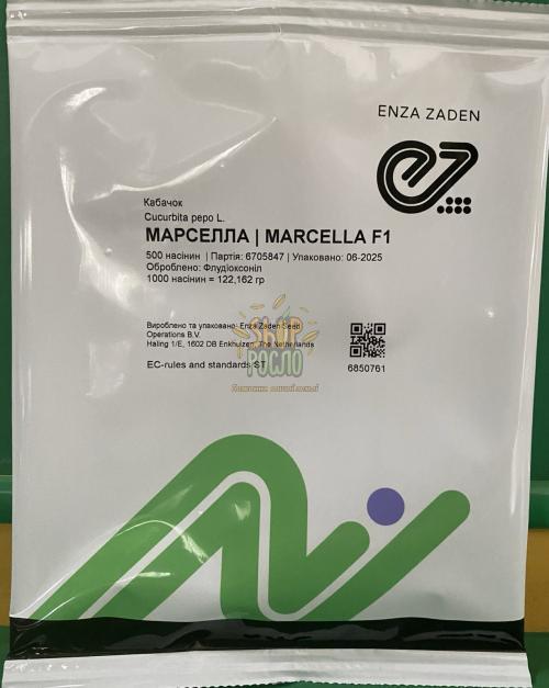 Насіння кабачка Марселла F1, ранній, "Enza Zaden" (Голландія), 500 шт