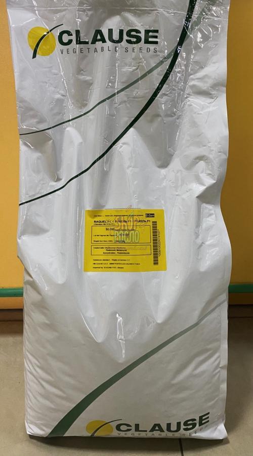 Насіння кукурудзи Ракель F1, ранній суперсолодкий гібрид, "Clause" (Франція), 50 000 шт