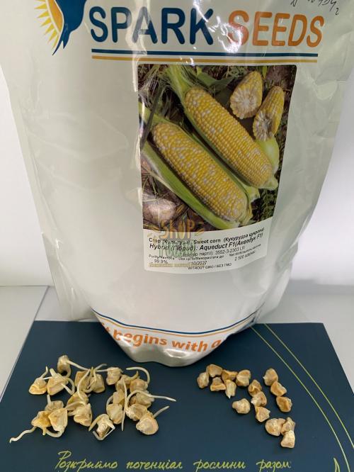 Кукуруза Акведук F1 (ESB72F1), ранний гибрид,биколор суперсладкий, Spark Seeds (США), 500 шт (Фас.)