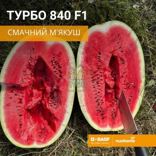 Семена арбуза Турбо 840 F1, ранний гибрид,  Nunhems Bayer  (Голландия) , 1 000 шт