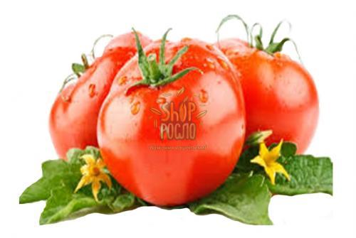 中田③ Индетерминантные томаты — Производитель Takii Seeds (Япония
