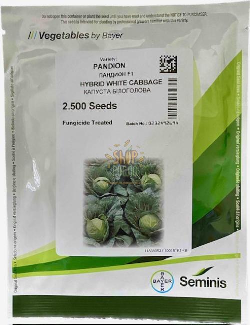 Насіння капусти білоголовой Пандіон "Seminis" (Голландія), 2 500 шт (2,2-2,4)