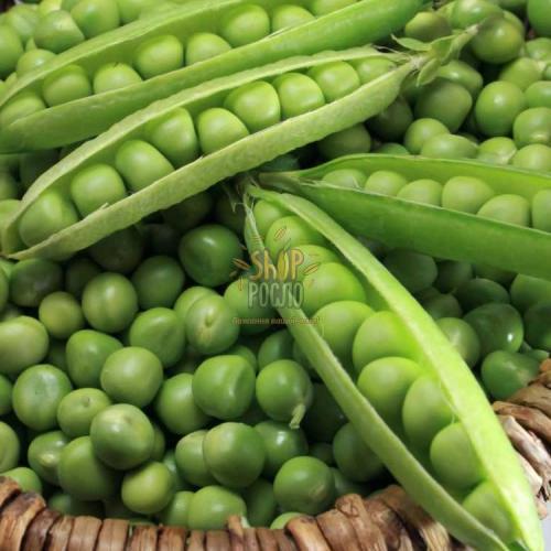 Насіння гороху Болеро, "May Seeds" (Туреччина), 500 г