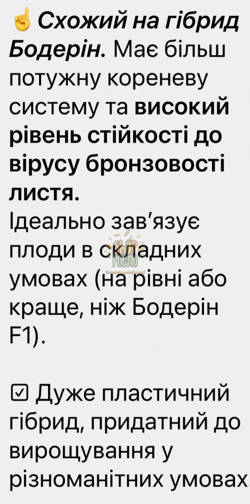 Семена томата Саннерин F1(Бодерин F1), індетермін., ранний гибрид, Syngenta (Швейцария), 500 шт
