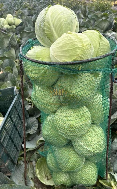 Сітка овочева 30 кг, 45 х 75 см , зелена,  100 шт. (КНР)