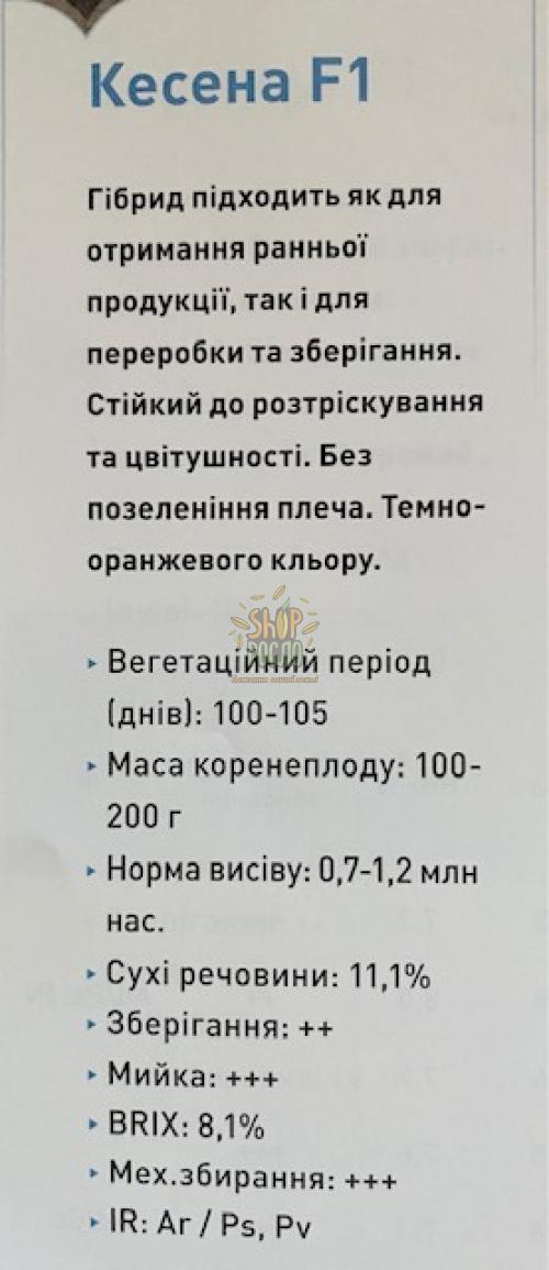 Семена моркови Кесена F1, ранний гибрид, "Bejo" (Голландия), 100 000 шт (1,8-2,0)