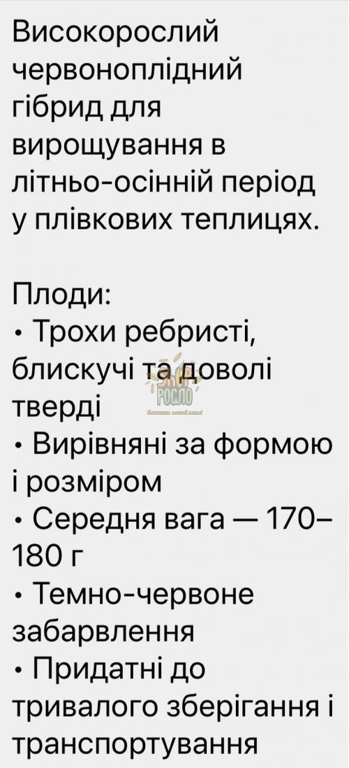 Семена томата Саннерин F1(Бодерин F1), індетермін., ранний гибрид, Syngenta (Швейцария), 500 шт