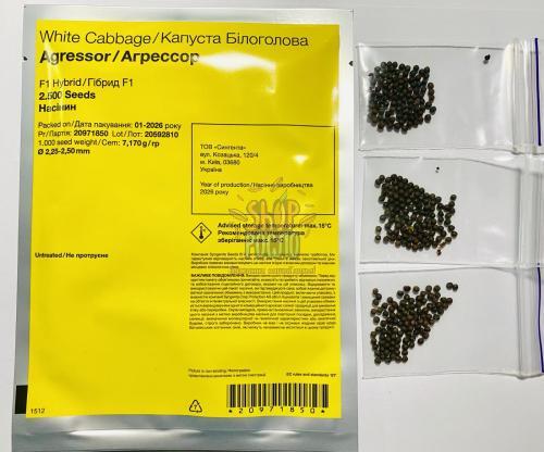 Семена капусты белокочанной Агрессор F1, среднепоздний гибрид,  "Syngenta" (Швейцария), 2 500 шт (2,25-2,5)