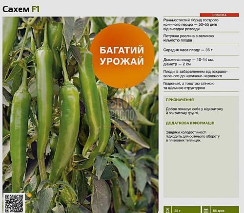 Насіння перця гірького Сахем F1, ранній довгий гібрид, Syngenta (Швейцария), 500 шт