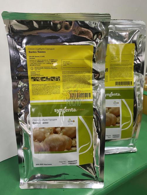 Семена лука репчатого Банко F1, ранний желтый гибрид, Syngenta (Швейцария), 250 000 шт