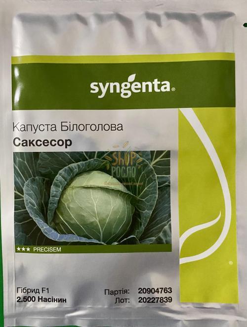Семена капусты белокочанной Саксесор  F1,среднепоздний гибрид, "Syngenta" (Швейцария), 2 500 шт