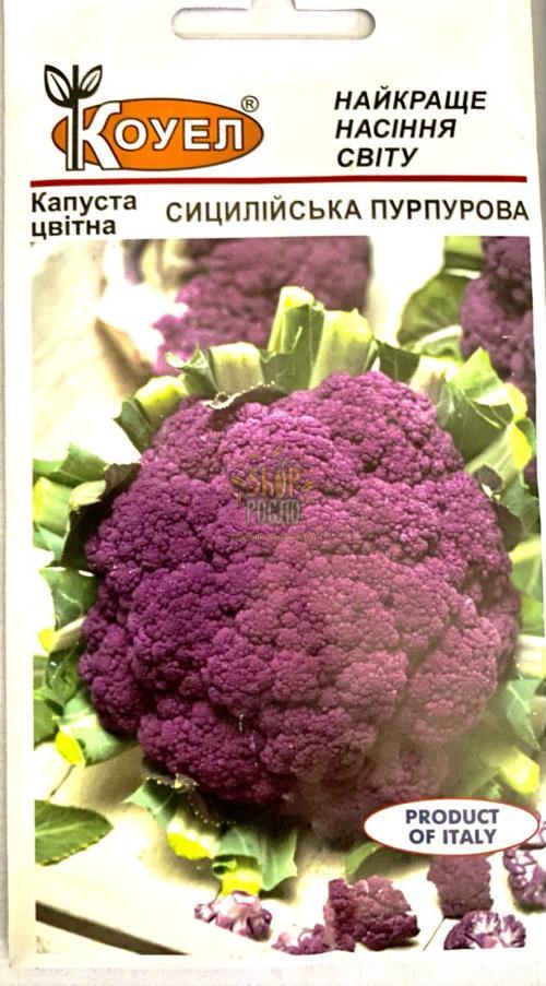 Семена капусті цветной Сицилийская фиолетовая, среднеспелый сорт, Коуэл (Италия), 0,5 г