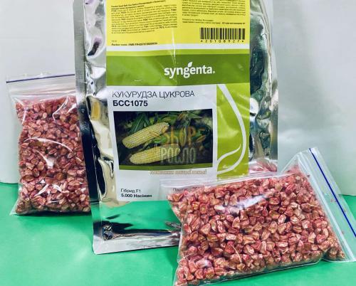 Насіння кукурудзи  БСС 1075 F1, BSS 1075 F1, ранній суперсолодкий гібрид, Syngenta (Швейцарія), 1 000 шт (Фас)