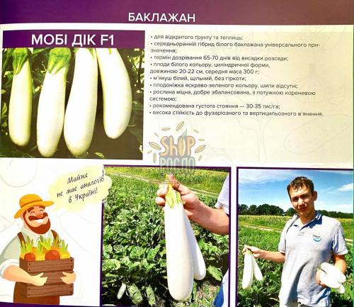 Насіння баклажану Мобі Дік F1, ранній білий гібрид, Libra Seeds (Італія), 250 шт