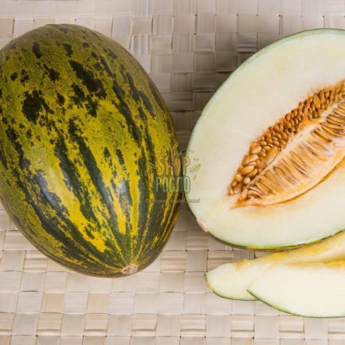 Семена дыни Пьела де Сапо, среднеранний сорт,  Коуел (Италия), 5 г