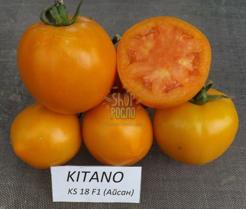 Семена томата Айсан F1, детерминантный, средний гибрид, "Kitano Seeds" (Япония), 500 шт