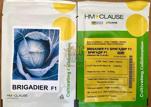 Семена капусты белокочанной Бригадир F1, среднепоздний гибрид, "Clause" (Франция), 2 500 шт