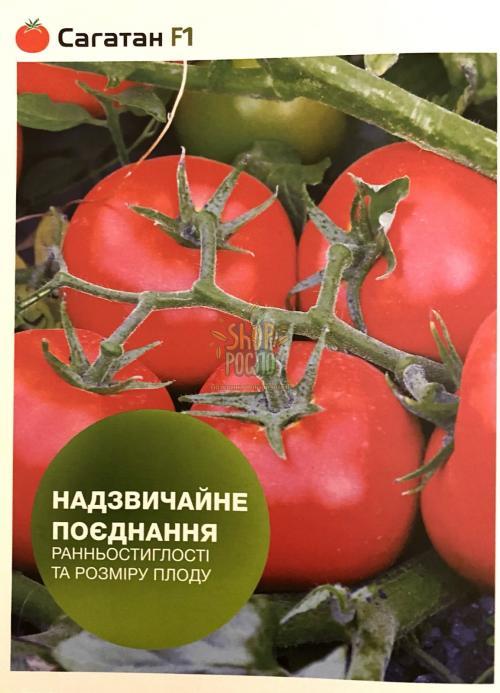 Насіння томату Сагатан F1, ранній кущовий гібрид,"Syngenta" (Швейцарія), 1 000 шт