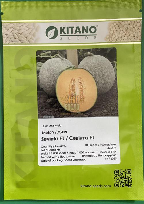 Семена дыни СевинтаF1 (КS 7084 F1), ранний гибрид,Kitano Seeds (Япония), 1 000 шт