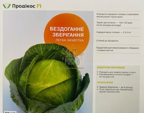 Насіння капусти білоголовой Продікос, пізньостиглий гібрид, "Syngenta" (Швейцарія), 2 500 шт