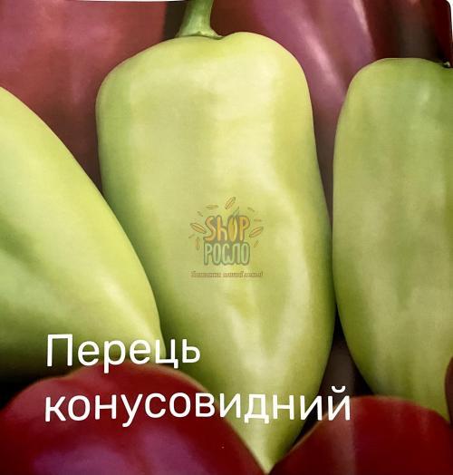 Семена перца Кантатта F1, ранний гибрид, конический, Enza Zaden (Голландия), 500 шт