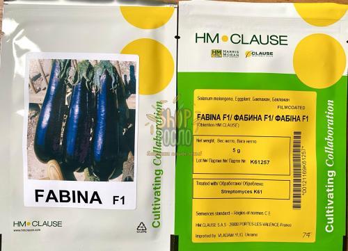 Семена баклажана Фабина F1, ранний гибрид, "Clause" (Франция), 5 г