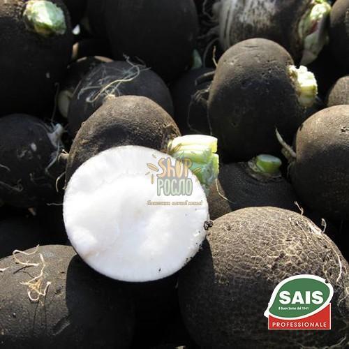 Семена редьки Круглая черная, среднеспелый сорт, черная, "Satimex" (Германия), 250 г