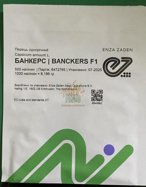 Семена перца Банкерс F1, ранний гибрид, кубовидный,  "Enza Zaden" (Голландия), 500 шт