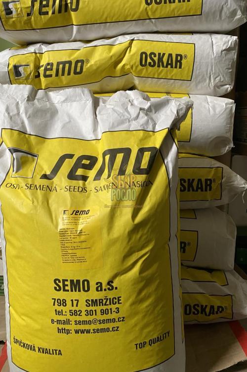 Насіння гороху Оскар (Драгон), ранній сорт, 2026 р."Semo" (Чехія), 25 кг