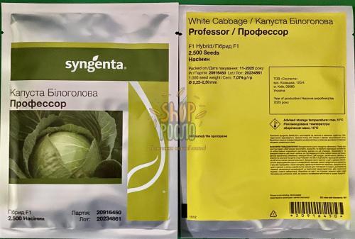 Семена капусты белокочанной Профессор F1, среднепоздний гибрид, "Syngenta" (Швейцария), 2 500 шт