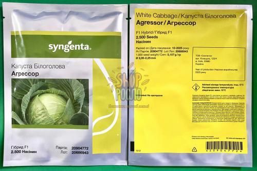 Насіння капусти білоголовой Агрессор F1, середньопізній гібрид,"Syngenta" (Швейцарія), 2 500 шт (2,0-2,25)