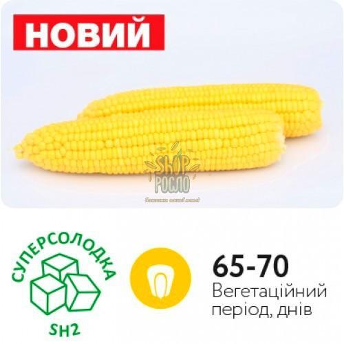 Насіння кукурудзи Баха F1,рання, суперсолодка, "May Seeds" ( Туреччина), 5 000 шт