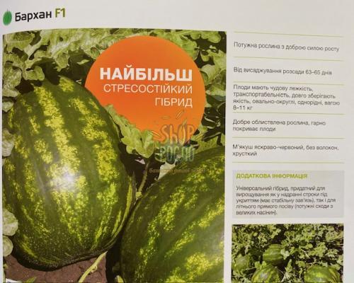 Семена арбуза Бархан F1, ранний гибрид, "Syngenta" (Швейцария), 1 000 шт