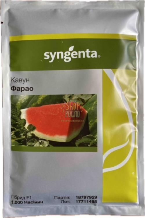 Семена арбуза Фарао F1, среднеспелый гибрид,  "Syngenta" (Швейцария), 1 000 шт