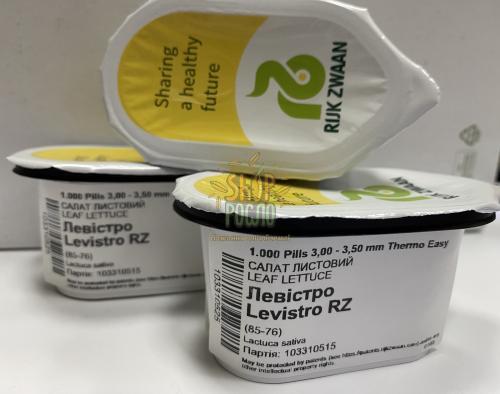 Насіння салату Левістро, ранній, Лолло росса, "Rijk Zwaan" (Голландія), 1 000 шт (драже)