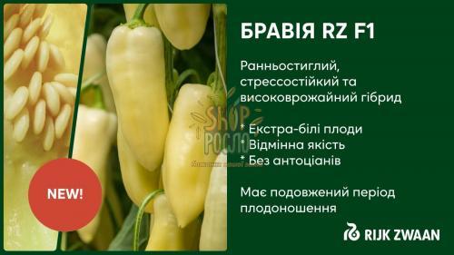 Насіння перцю  Бравія F1 (Cноувайт F1), ранній конічний  гібрид, "Rijk Zwaan" (Голландія), 1 000 шт