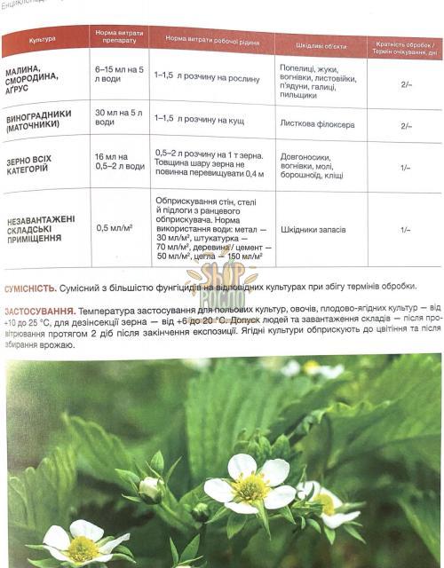 Інсектицид Актеллік, "Syngenta" (Швейцарія), 100 мл