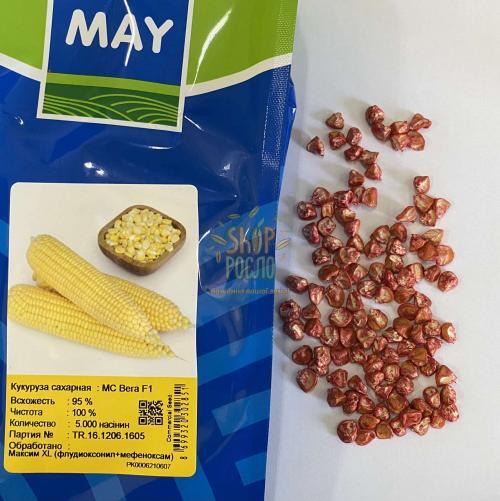 Семена кукурузы Вега F1, среднеранний гибрид, суперсладкая, "May Seeds" (Турция), 50 000 шт