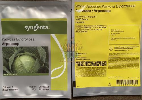 Семена капусты белокочанной Агрессор F1, среднепоздний гибрид,  "Syngenta" (Швейцария), 2 500 шт (2,5-2,75)