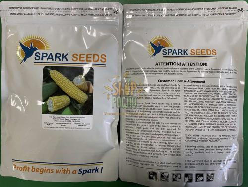 Семена кукурузы  Рапид F1, ранний гибрид, суперсладкая, Spark Seeds (США), 2 500 шт