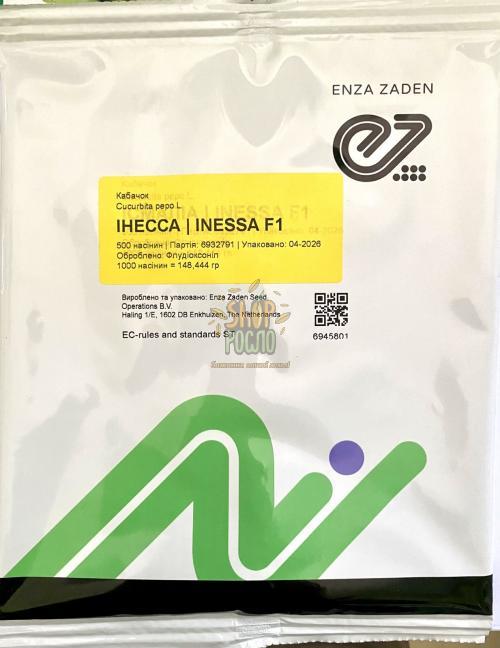 Насіння кабачка Інесса F1, ранній всесезонний гібрид, "Enza Zaden" (Голландія), 500 шт