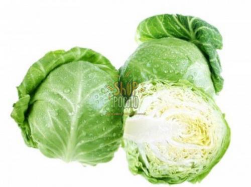 Насіння капусти білоголовой Вірджинія, ультраранній гібрид, "Spark Seeds " (США), 100 шт (Фас)