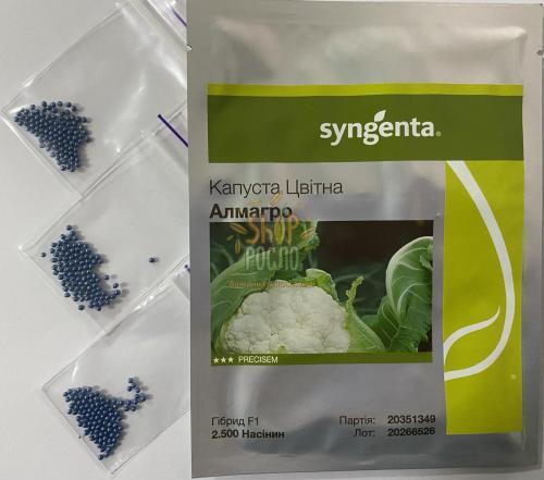 Насіння капусти цвітної Алмагро F1, середньостиглий гібрид, "Syngenta" (Швейцарія), 100 шт (Фас.)