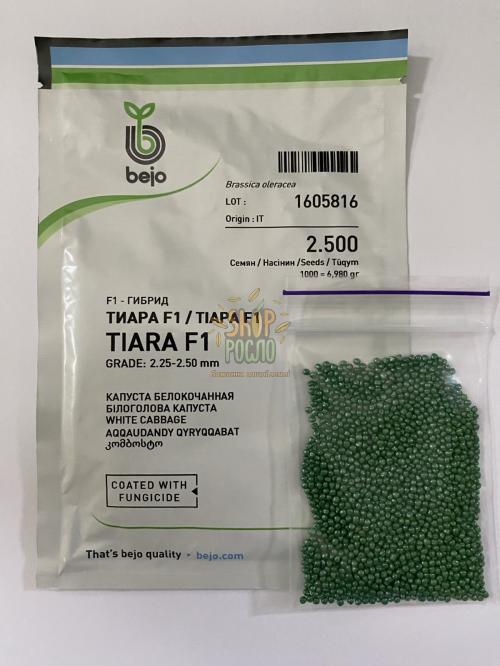 Насіння капусти білоголовой Тіара F1, ранній гібрид, "Bejo" (Голландія), 2 500 шт