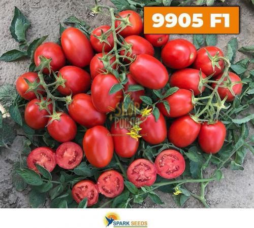 Насіння томату  9905 F1, детермінантний середньостиглий гібрид,  "Spark Seeds" (США), 500 шт