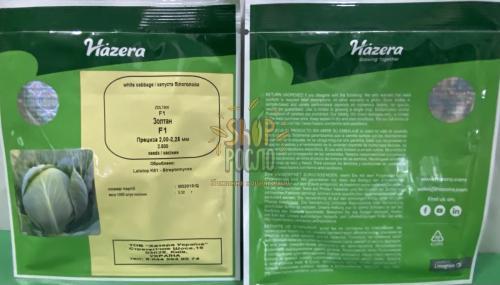 Насіння капусти білоголовой Золтан F1, для зберігання, "Hazera" (Ізраїль), 2 500 шт (калибр)