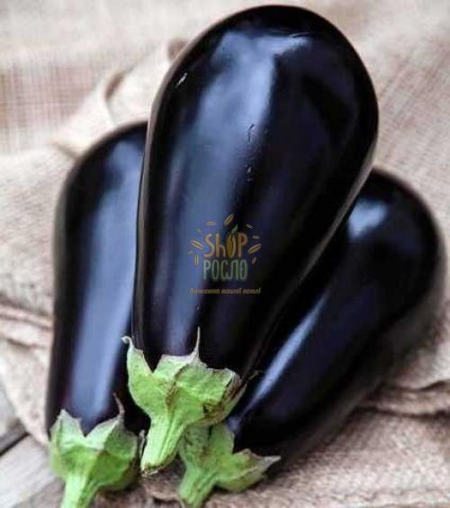 Насіння баклажану Мабел F1, ранній гібрид, "Enza Zaden" (Голландія), 500 шт